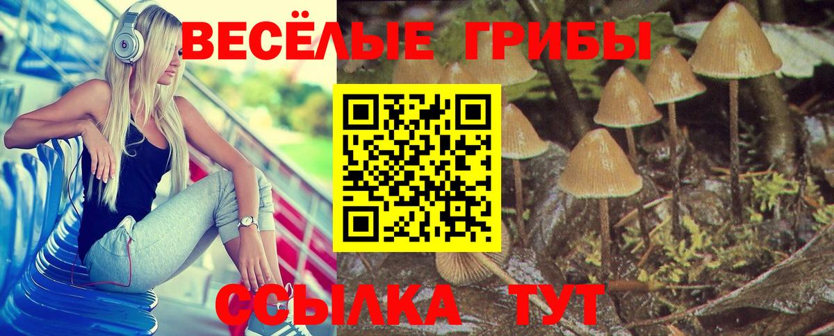 Галлюциногенные грибы мухоморы Фрязино